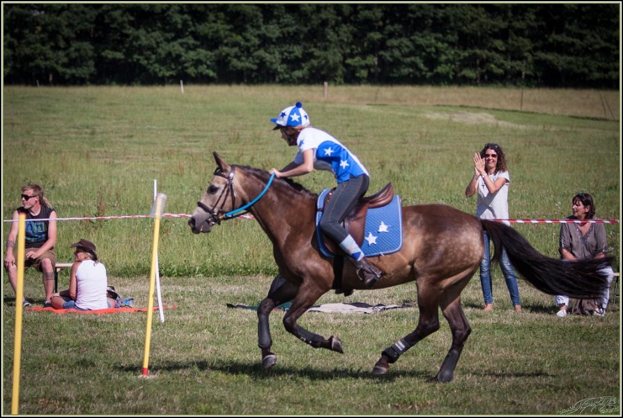 Mounted Games 331